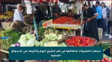 أسعار الخضروات والفاكهة في كفر الشيخ اليوم وتأثيرها على الأسواق المحلية